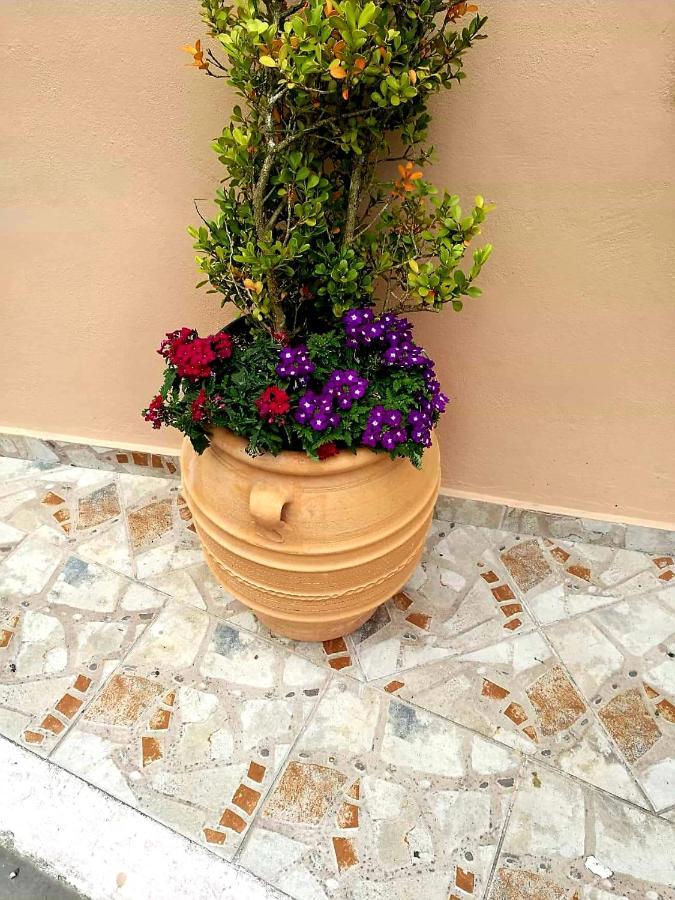Joy New Port Studio Corfu Town Dış mekan fotoğraf